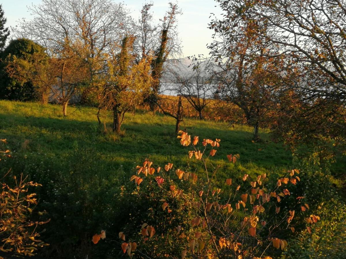 Haus Meersburg Garten Exteriér fotografie