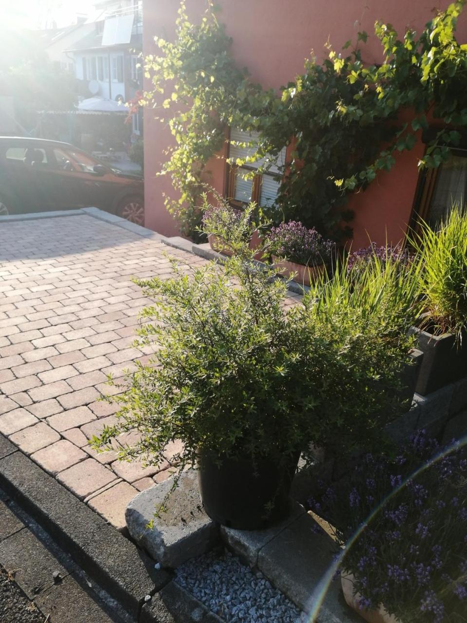 Haus Meersburg Garten Exteriér fotografie