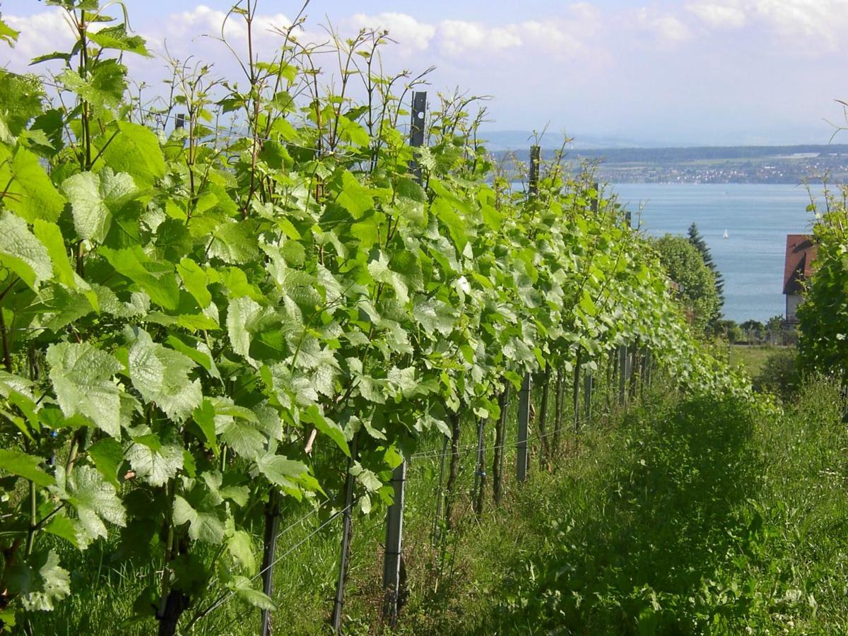 Haus Meersburg Garten Exteriér fotografie